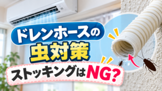 エアコンのドレンホースからの虫侵入とストッキング対策の注意点